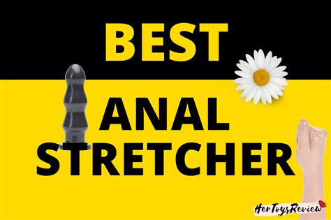 anus toy|The 11 Best Anal Sex Toys for Every Experience Level